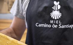 “MIEL CAMINO DE SANTIAGO” NOMBRADA MEJOR MIEL DE CASTAÑO DE ESPAÑA
