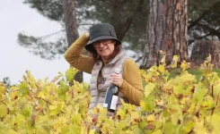 Consuelo Ysart se pone al frente de Bierzo Enoturismo para sacar el máximo potencial turístico del vino en la comarca